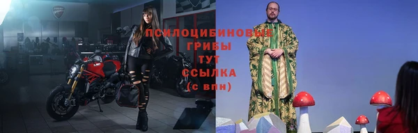 гашик Белокуриха