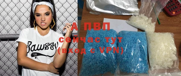 гашик Белокуриха